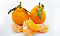 丑橘热量高吗