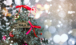 圣诞节是几月几日