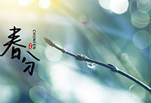 春分节气吃什么传统美食