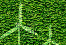 爬山虎的精神品质是什么