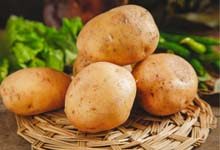 土豆怎么保存放的久