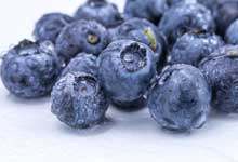 蓝莓在哪里种植合适