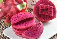 火龙果茎上为什么长根