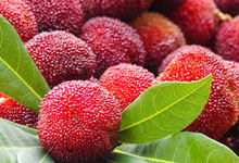 新鲜杨梅可以直接吃吗