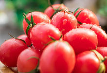 千禧和小番茄有什么区别