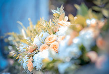 寒冰幽兰花是什么颜色