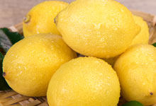 柠檬冬季可以在室外养吗