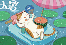 猫咪耳朵多久清理一次