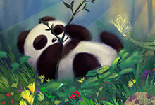 熊猫的三个特点是什么