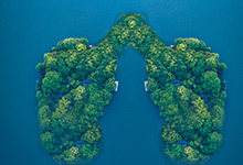 我国海洋国土包括哪些区域