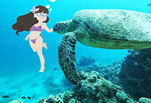 海洋馆里有什么动物