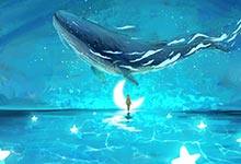 鲸鱼种类分别是