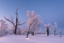 寒潮预警等级如何划分