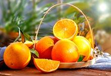 奉节脐橙生长环境