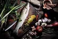 活草鱼的营养价值及营养成分