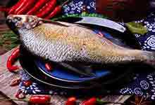 武昌鱼的营养价值及营养成分
