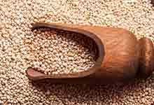 藜麦的营养价值及营养成分
