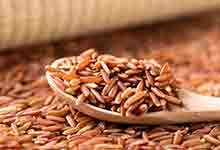 红米的营养价值及营养成分