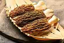 羊肚菌的营养价值及营养成分