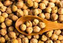鹰嘴豆的营养价值及营养成分