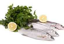 鲭鱼的营养价值及营养成分