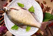 鮟鱇鱼的营养价值及营养成分