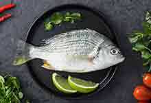 笔管鱼的营养价值及营养成分