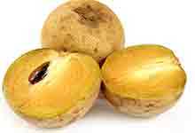 人心果的营养价值及营养成分