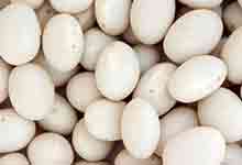  白豆的营养价值及营养成分
