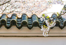 春分的美好象征