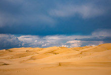世界上最大的沙漠是哪个沙漠