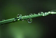 关于寒露节气的唯美句子