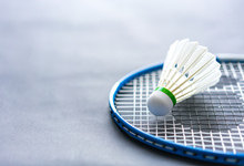 羽毛球有几根羽毛