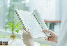 一只想飞的猫作者是谁