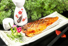 青花鱼中国叫什么鱼