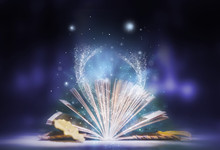 青海高原一株柳主要内容