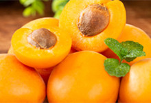 银杏属于什么种类水果