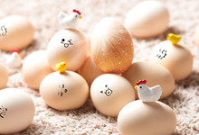 鸡蛋是一个细胞吗