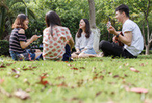 众人拾柴火焰高下一句是什么